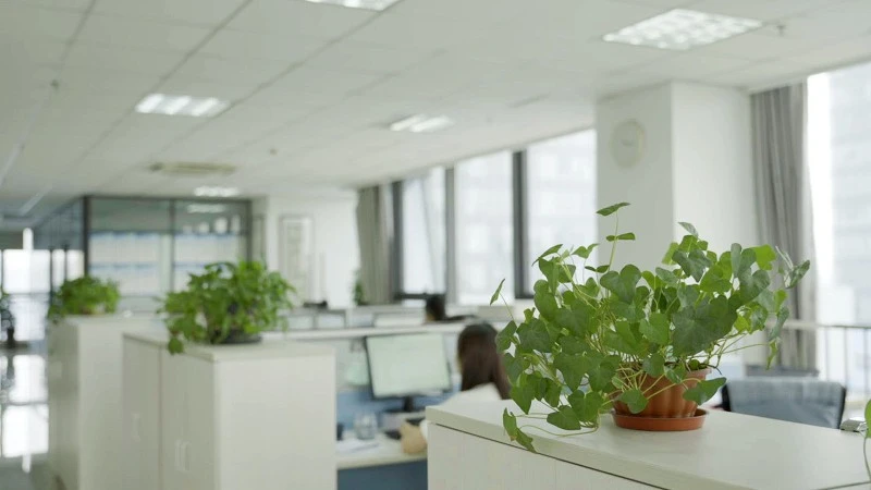 Office Office